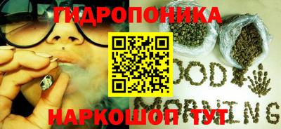 прущие грибы Краснокаменск