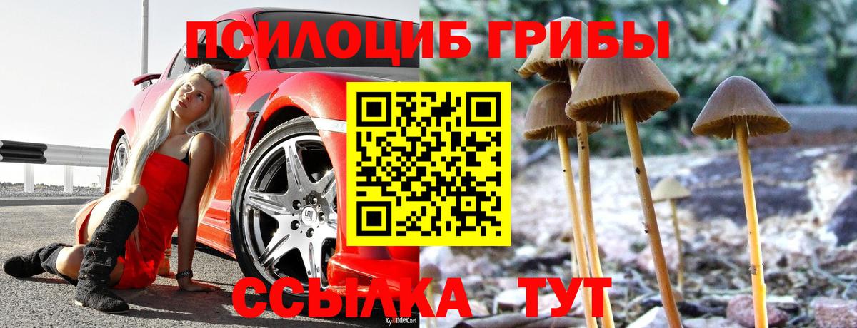 как найти наркотики  Вход с VPN  Клинцы  Галлюциногенные грибы прущие грибы  Галлюциногенные грибы мухоморы 