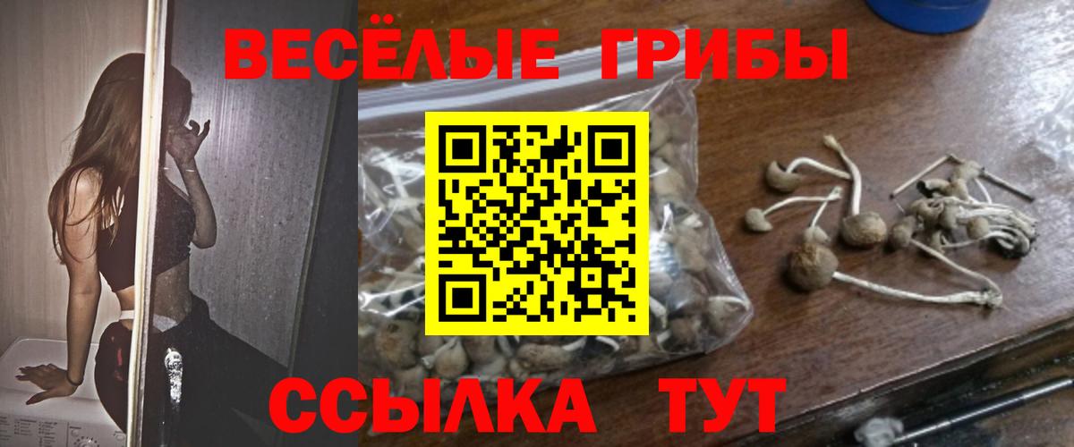 Псилоцибиновые грибы ЛСД Клинцы