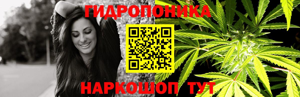Бошки Шишки гибрид Клинцы